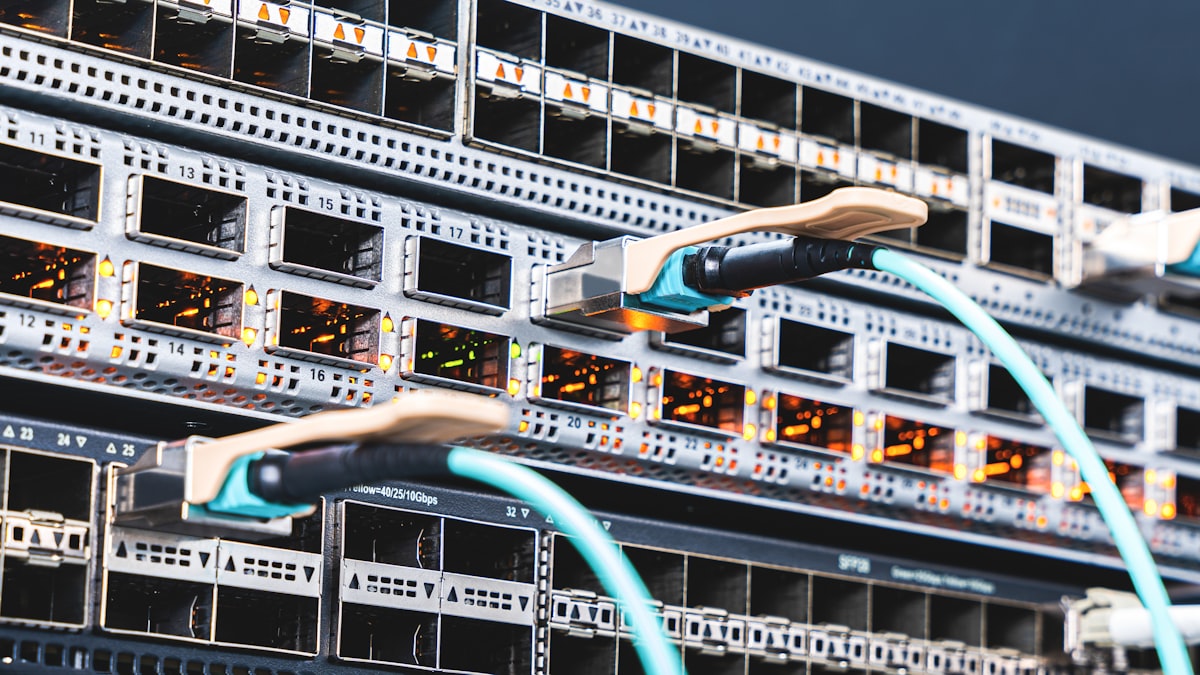 Best Website Hosting for Small Business: A 2025 Guide